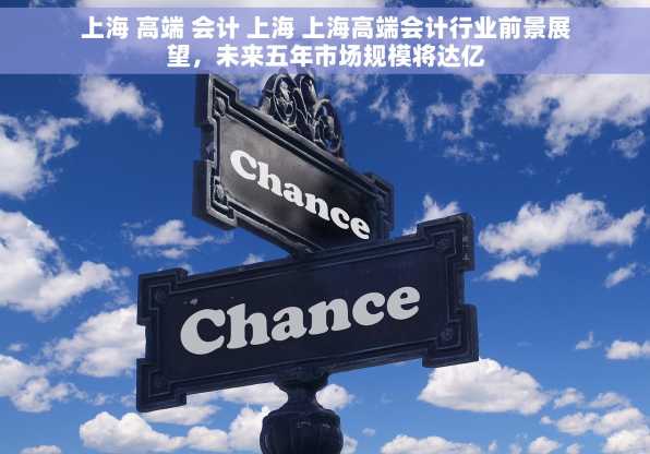 上海 高端 会计 上海 上海高端会计行业前景展望，未来五年市场规模将达亿