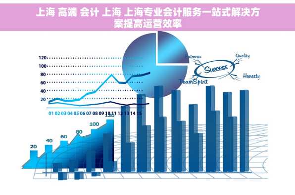 上海 高端 会计 上海 上海专业会计服务一站式解决方案提高运营效率
