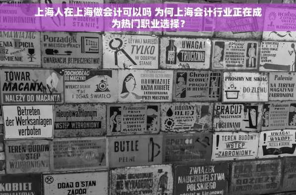 上海人在上海做会计可以吗 为何上海会计行业正在成为热门职业选择？