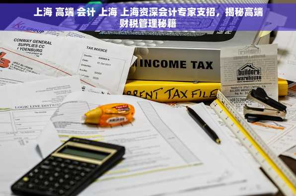 上海 高端 会计 上海 上海资深会计专家支招，揭秘高端财税管理秘籍