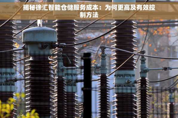 揭秘徐汇智能仓储服务成本：为何更高及有效控制方法