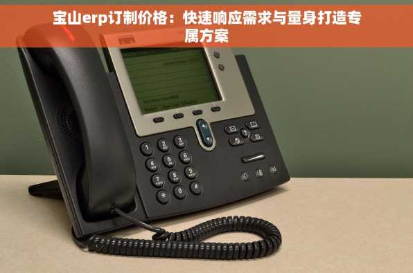 宝山erp订制价格：快速响应需求与量身打造专属方案