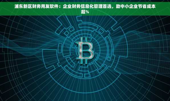 浦东新区财务用友软件：企业财务信息化管理首选，助中小企业节省成本超%