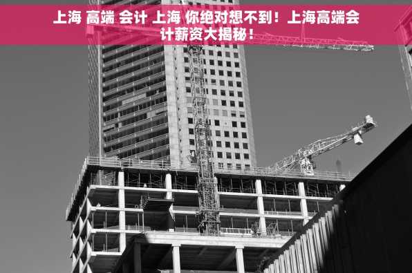 上海 高端 会计 上海 你绝对想不到！上海高端会计薪资大揭秘！
