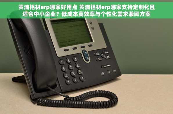 黄浦铝材erp哪家好用点 黄浦铝材erp哪家支持定制化且适合中小企业？低成本高效率与个性化需求兼顾方案