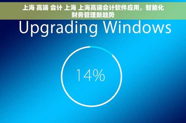 上海 高端 会计 上海 上海高端会计软件应用，智能化财务管理新趋势