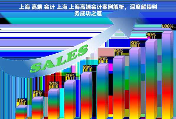 上海 高端 会计 上海 上海高端会计案例解析，深度解读财务成功之道