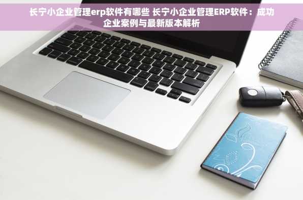 长宁小企业管理erp软件有哪些 长宁小企业管理ERP软件：成功企业案例与最新版本解析