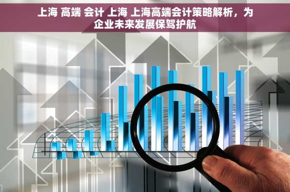上海 高端 会计 上海 上海高端会计策略解析，为企业未来发展保驾护航