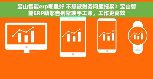 宝山智能erp哪里好 不想被财务问题拖累？宝山智能ERP助您告别繁琐手工账，工作更高效