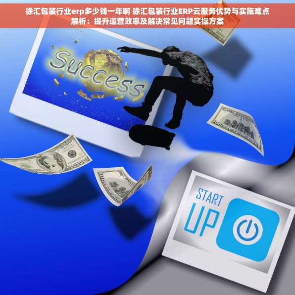 徐汇包装行业erp多少钱一年啊 徐汇包装行业ERP云服务优势与实施难点解析：提升运营效率及解决常见问题实操方案