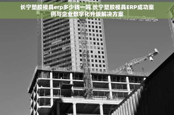 长宁塑胶模具erp多少钱一吨 长宁塑胶模具ERP成功案例与企业数字化升级解决方案
