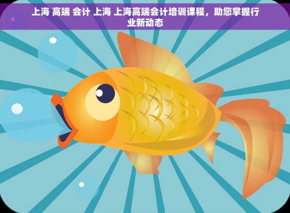 上海 高端 会计 上海 上海高端会计培训课程，助您掌握行业新动态