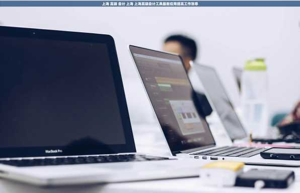 上海 高端 会计 上海 上海高端会计工具最新应用提高工作效率