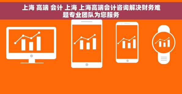 上海 高端 会计 上海 上海高端会计咨询解决财务难题专业团队为您服务