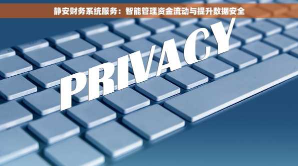 静安财务系统服务：智能管理资金流动与提升数据安全