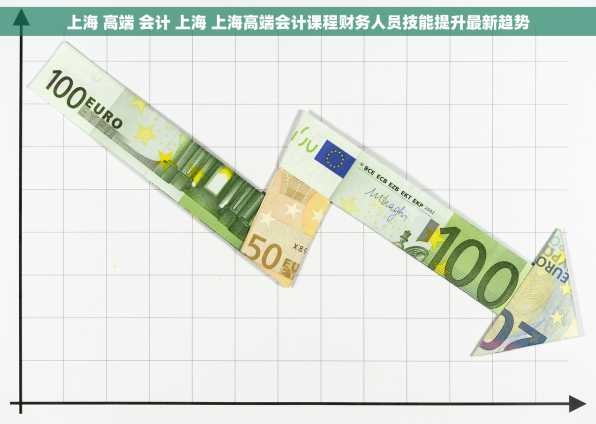 上海 高端 会计 上海 上海高端会计课程财务人员技能提升最新趋势