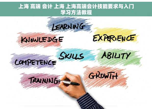 上海 高端 会计 上海 上海高端会计技能要求与入门学习方法教程