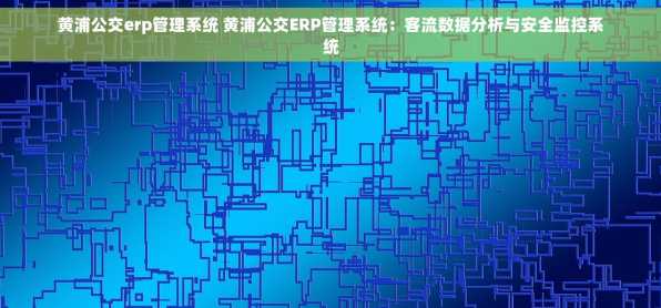 黄浦公交erp管理系统 黄浦公交ERP管理系统：客流数据分析与安全监控系统