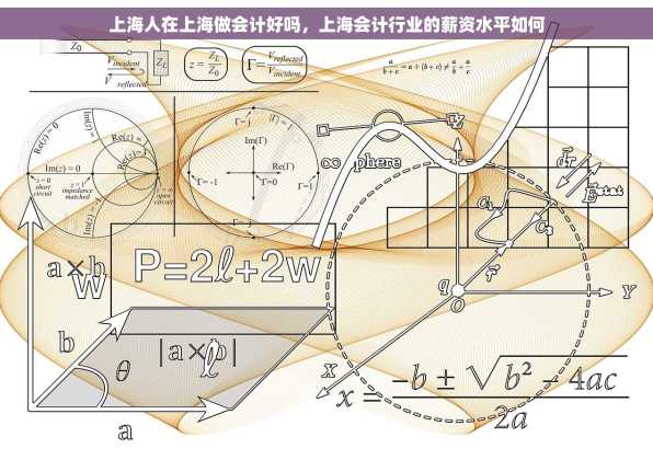 上海人在上海做会计好吗，上海会计行业的薪资水平如何