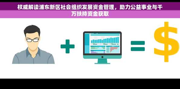 权威解读浦东新区社会组织发展资金管理，助力公益事业与千万扶持资金获取