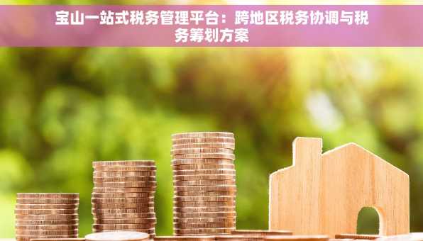 宝山一站式税务管理平台：跨地区税务协调与税务筹划方案