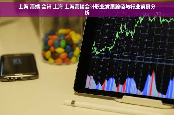 上海 高端 会计 上海 上海高端会计职业发展路径与行业前景分析