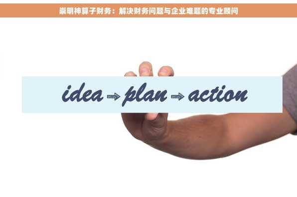 崇明神算子财务：解决财务问题与企业难题的专业顾问