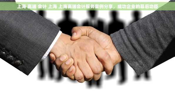 上海 高端 会计 上海 上海高端会计服务案例分享，成功企业的幕后功臣