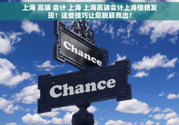 上海 高端 会计 上海 上海高端会计上海惊艳发现！这些技巧让您脱颖而出！