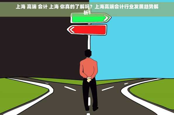 上海 高端 会计 上海 你真的了解吗？上海高端会计行业发展趋势解析！