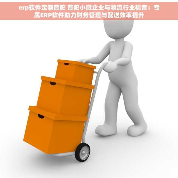 erp软件定制普陀 普陀小微企业与物流行业福音：专属ERP软件助力财务管理与配送效率提升