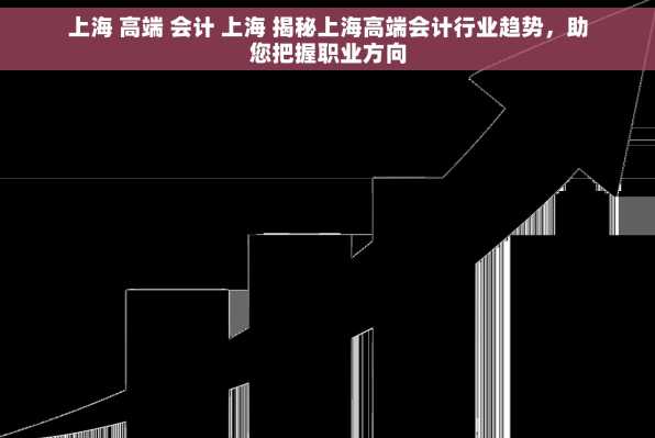 上海 高端 会计 上海 揭秘上海高端会计行业趋势，助您把握职业方向