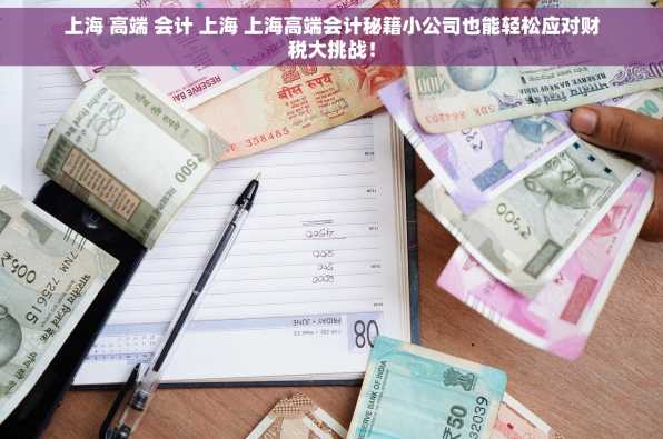 上海 高端 会计 上海 上海高端会计秘籍小公司也能轻松应对财税大挑战！