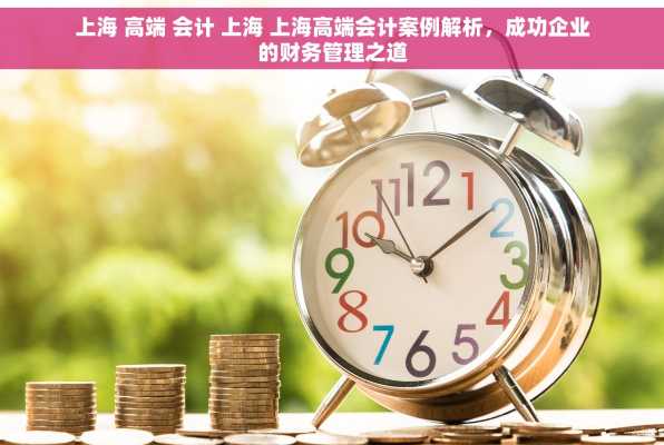 上海 高端 会计 上海 上海高端会计案例解析，成功企业的财务管理之道