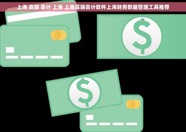 上海 高端 会计 上海 上海高端会计软件上海财务数据管理工具推荐
