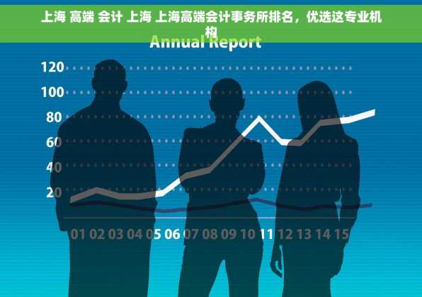 上海 高端 会计 上海 上海高端会计事务所排名，优选这专业机构