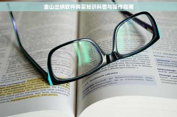 金山出纳软件购买知识科普与操作指南