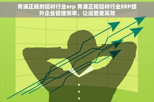青浦正规的铝材行业erp 青浦正规铝材行业ERP提升企业管理效率，让运营更高效