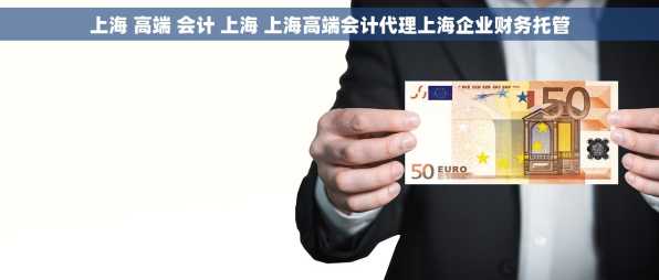 上海 高端 会计 上海 上海高端会计代理上海企业财务托管