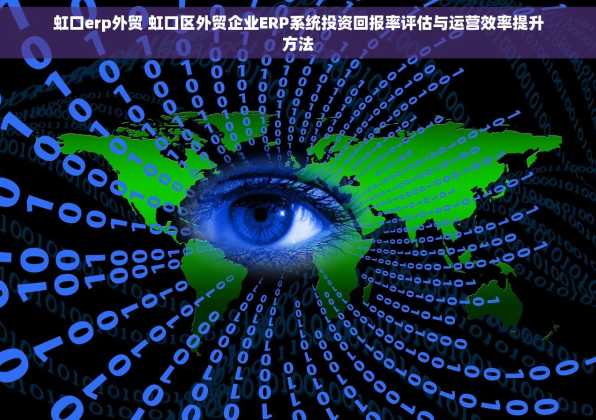 虹口erp外贸 虹口区外贸企业ERP系统投资回报率评估与运营效率提升方法