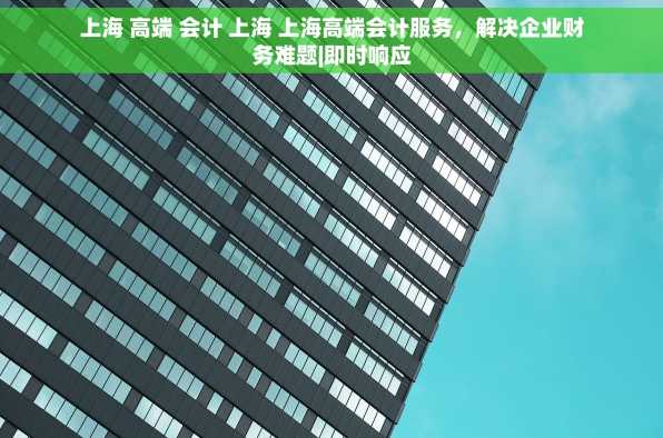 上海 高端 会计 上海 上海高端会计服务，解决企业财务难题|即时响应