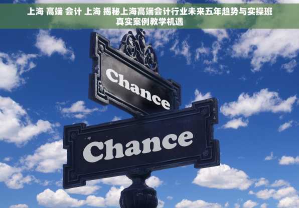 上海 高端 会计 上海 揭秘上海高端会计行业未来五年趋势与实操班真实案例教学机遇