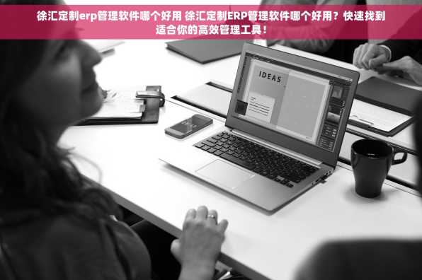 徐汇定制erp管理软件哪个好用 徐汇定制ERP管理软件哪个好用？快速找到适合你的高效管理工具！