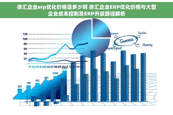 徐汇企业erp优化价格是多少啊 徐汇企业ERP优化价格与大型企业成本控制及ERP升级路径解析