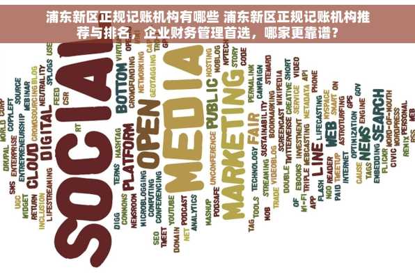 浦东新区正规记账机构有哪些 浦东新区正规记账机构推荐与排名，企业财务管理首选，哪家更靠谱？