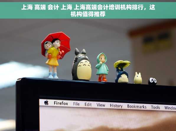上海 高端 会计 上海 上海高端会计培训机构排行，这机构值得推荐