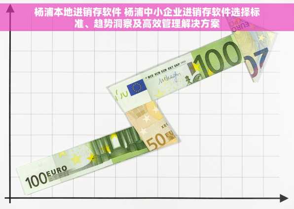 杨浦本地进销存软件 杨浦中小企业进销存软件选择标准、趋势洞察及高效管理解决方案