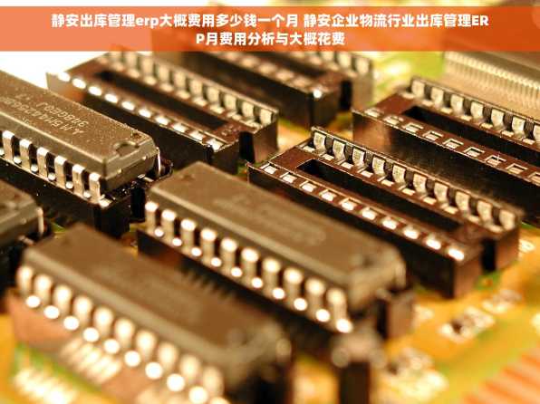 静安出库管理erp大概费用多少钱一个月 静安企业物流行业出库管理ERP月费用分析与大概花费