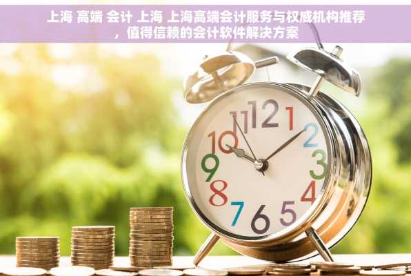 上海 高端 会计 上海 上海高端会计服务与权威机构推荐，值得信赖的会计软件解决方案